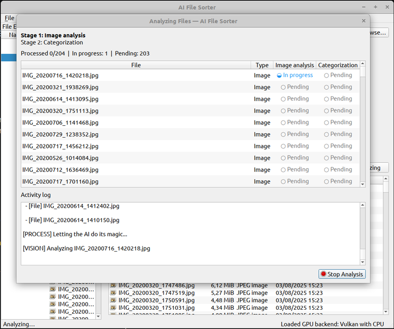 The progress view shows the image analysis stage while the run is in progress
