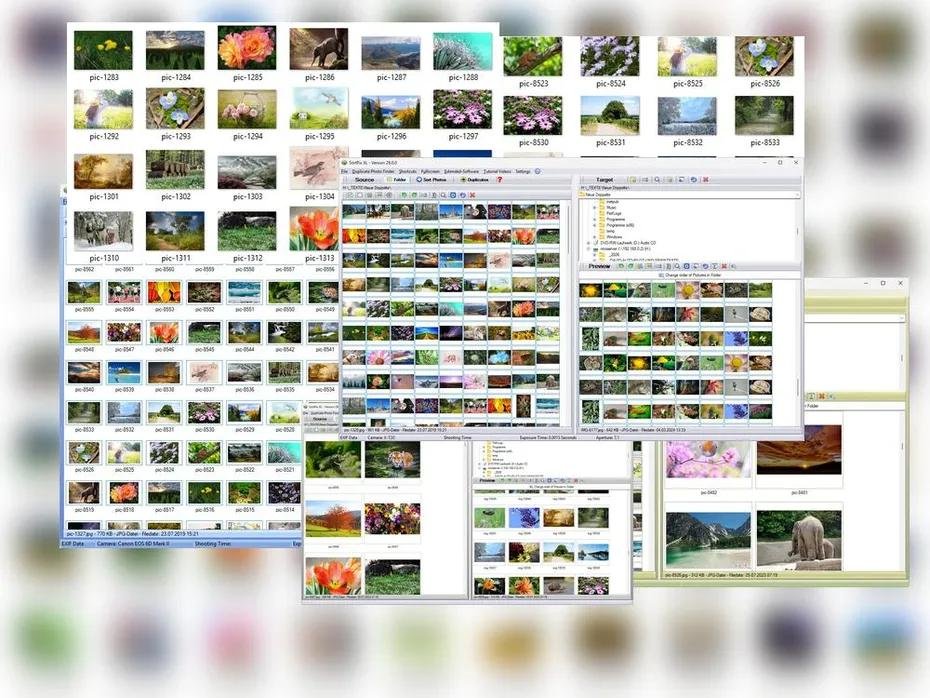 AI File Sorter può gestire 10,000+ immagini e grandi lotti di file?