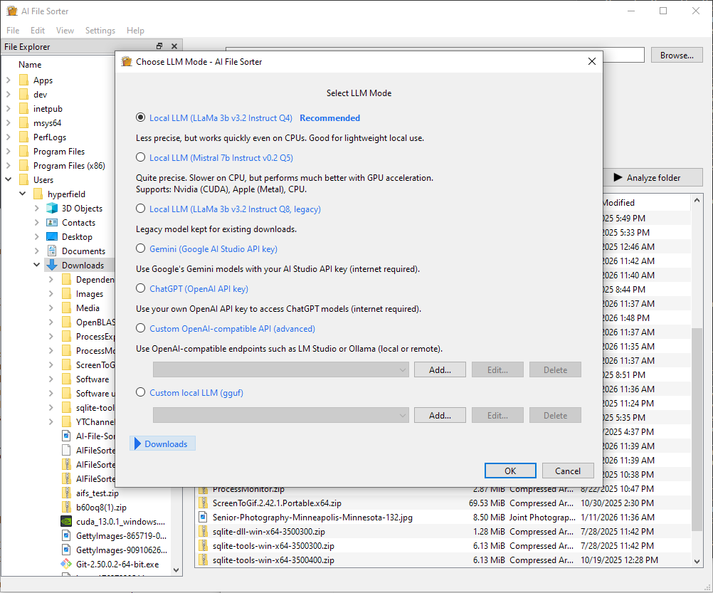 AI FileSorter LLM Selection (Windows)